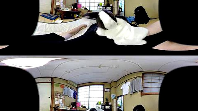 Shibuya: Grandes Tetas, Mamadas Y Porno Pov