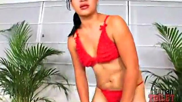 Inodoros humanos de valencia: mamada, anal y porno xhamster