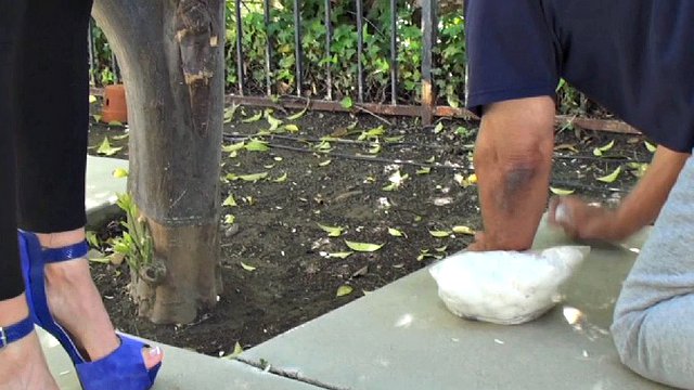 Goddess Randi and her slave girl picking cotton