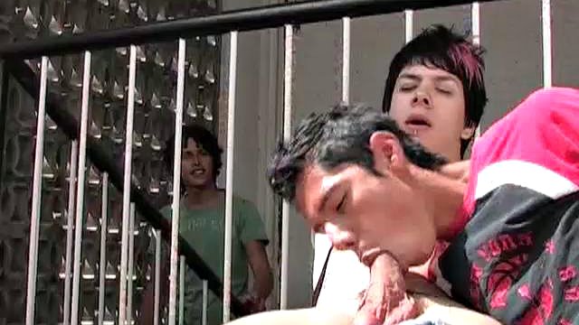 Hernan, Danno & Javier