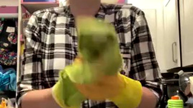 ORDER! Wearing rubber gloves to wash clothes topless
