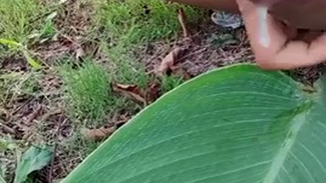 Nude walks in the park peeing and masturbating