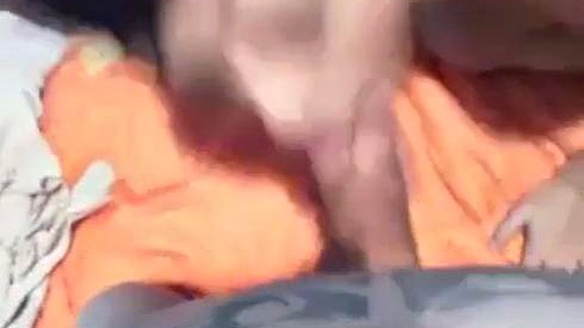 Versautes Paar hat eine tolle Zeit: Blowjob, Doggy & Hardcore-Porno