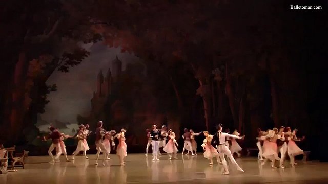 hung ballet: swan lake