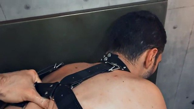 Behaarter Schwuler im Ledergeschirr ohne Sattel, POV aus nächster Nähe