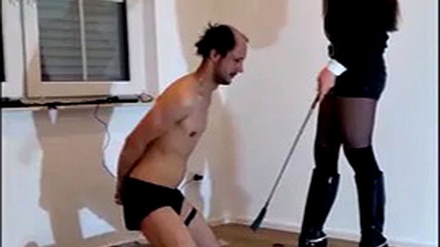 ballbust ringa balığı