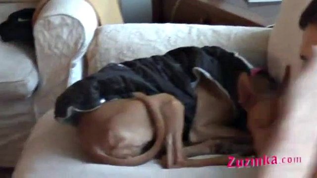 Czech Amateur Handjob: Blowjob, Euro & Hand Job Porn