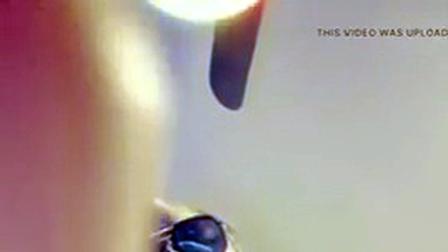 Mistress Smita humiliates your small cock in Malay
