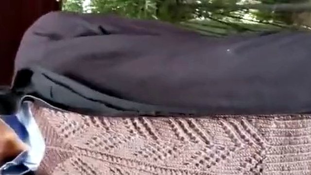Hunting an old man outdoors