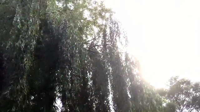 outdoor fun in a beautiful day
