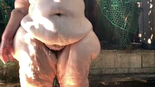 SSBBW Mega Ass In The Shower Outdoors