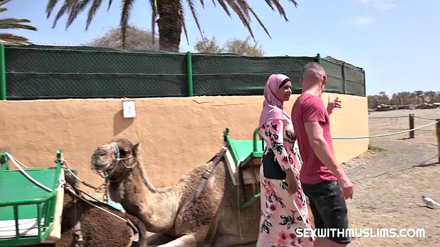 アラビアのイスラム教徒の性交