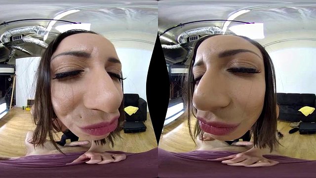 Kaaskaas: Blowjob, Doggy & Cowgirl VR-porno