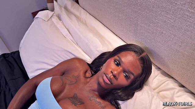 Black Ebony Tgirls Deliver Fresh Updates: Summer Fever, The Doll, Dess Dior and Gorgeous Girl