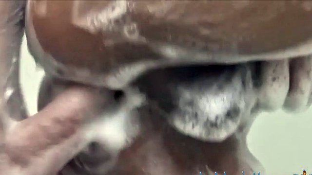 Bathroom fuck session with an amazing lboy
