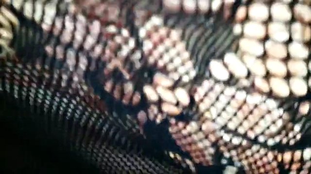 she is so hot and beautiful tight pussy with audio
