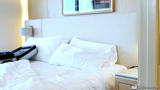 Voyeur Gay Housekeeper
