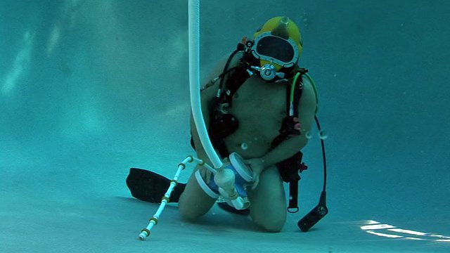SCUBA Bear feeding pool cleaner
